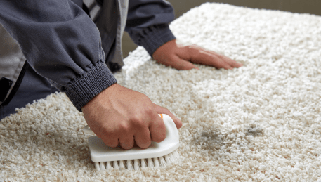 Professional Rug Cleaning Moorabbin