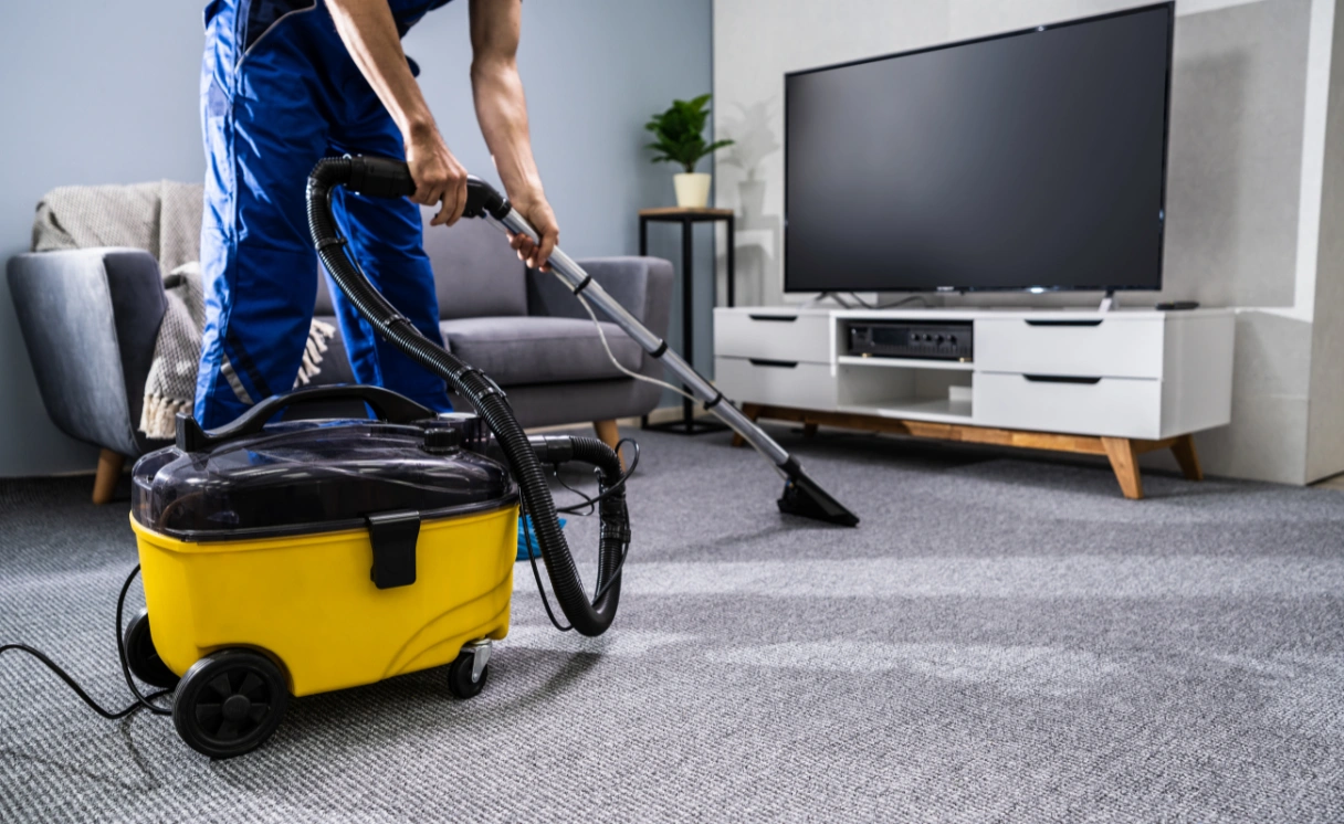 Extract Rug Cleaning Moorabbin Contact Office